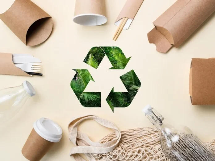 Pappedeckel: Eco-Friendly Cardboard Lid Innovation Gains